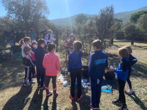 Actividades con escolares: Valle de Alcudia y Sierra Madrona