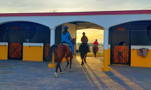 PATIO DE CABALLOS