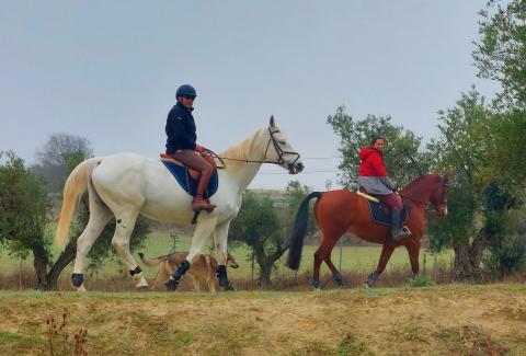 PASEOS EN LA NATURALEZA