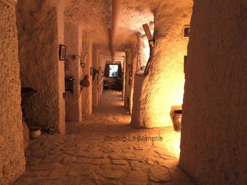 Visita guiada, museos con encanto