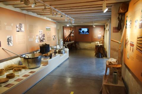 Museo del Queso Manchego y Colección de Arte de Manzanares