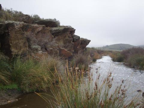 Peña Hueca en Villanueva de San Carlos